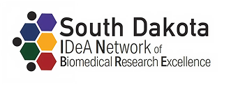 second logo